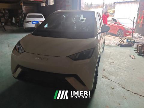 2025 BYD Seagull 305km Vitality Edition - ავტომობილი ჩინეთიდან