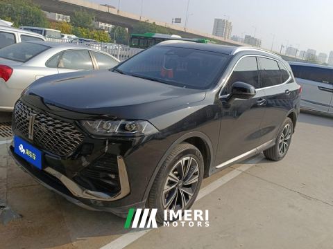 2022 Great Wall Wei brand latte 1.5T DHT