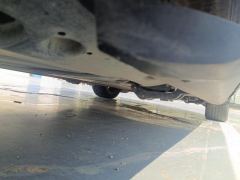 Volkswagen Viloran 380TSI Zunchi Edition - photo 10