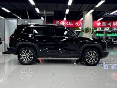 Great Wall Dachshund 1.5T DCT Border Collie Edition - фото 8