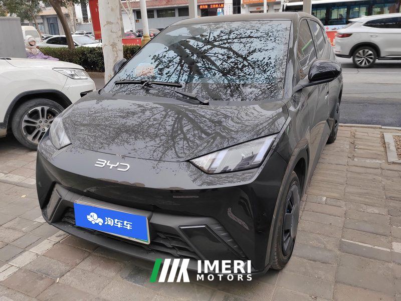 BYD Seagull 305km Vitality Edition - ავტომობილი ჩინეთიდან