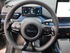 BYD Seagull 305km Vitality Edition - ფოტო 18