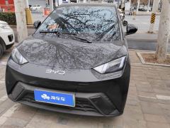 BYD Seagull 305km Vitality Edition - ფოტო 3