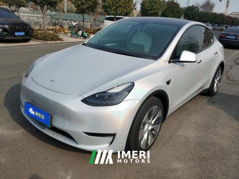 2021 Tesla Model Y Standard endurance rear-wheel drive - автомобиль из Китая