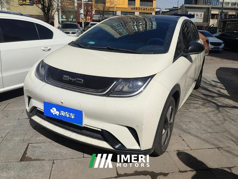 BYD Dolphin 420km Stylish Edition - ავტომობილი ჩინეთიდან