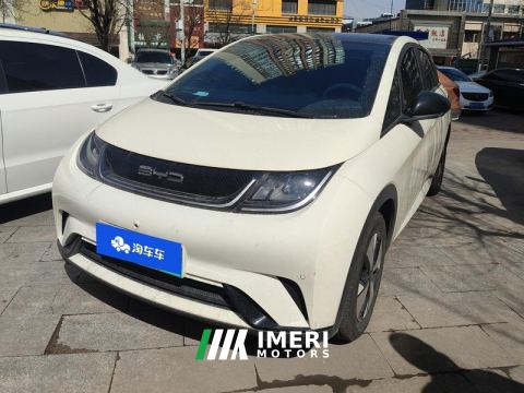 2023 BYD Dolphin 420km Stylish Edition - car from China