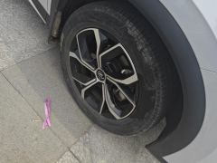 BYD Yuan PLUS 510KM Prestigious Edition - ფოტო 6
