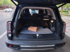 Haval Great Wall Big Dog Great Wall Dog 2.0T Two-wheel drive Chinese hunting dog version - photo 7