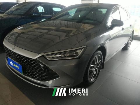 2024 BYD Qin PLUS DM-i Honor Edition 1.5L 120km Elite Edition