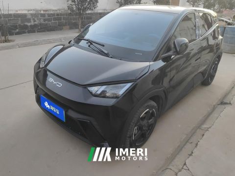 2023 BYD Seagull 305km Free Version - ავტომობილი ჩინეთიდან