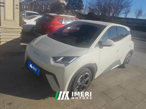 2023 BYD Seagull 305km Free Version - ავტომობილი ჩინეთიდან