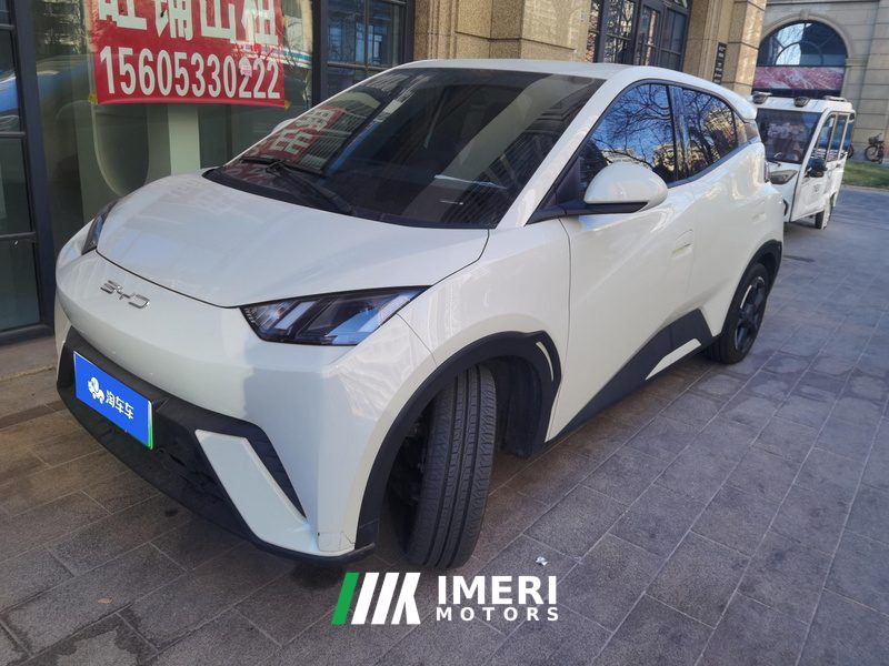 BYD Seagull 305km Free Version - ავტომობილი ჩინეთიდან