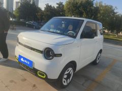 Geely Galaxy Panda mini 210km Yuanqi Bear - ფოტო 1