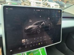 Tesla Model 3 556km Rear-Wheel Drive Edition - ფოტო 17