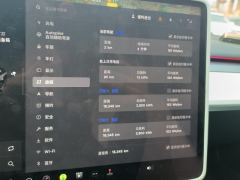 Tesla Model 3 556km Rear-Wheel Drive Edition - ფოტო 20