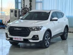 Haval H6 National Trend Edition 1.5T Automatic Champion Version - ფოტო 1
