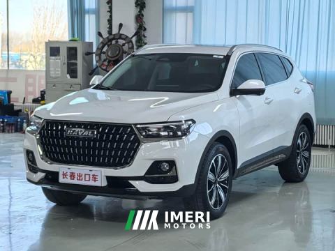 2023 Haval H6 National Trend Edition 1.5T Automatic Champion Version - автомобиль из Китая