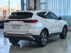 Haval H6 National Trend Edition 1.5T Automatic Champion Version - ფოტო 4