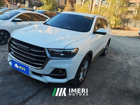 2021 Haval H6 Guochao Edition 1.5T 2WD Champion Edition - автомобиль из Китая