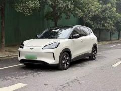 Wuling Binguo PLUS 330km 5-Seater - ფოტო 1