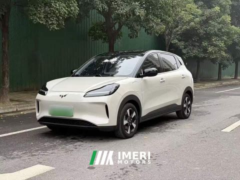 2024 Wuling Binguo PLUS 330km 5-Seater - ავტომობილი ჩინეთიდან