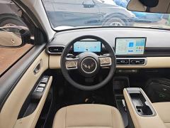 Wuling Binguo PLUS 330km 5-Seater - ფოტო 10