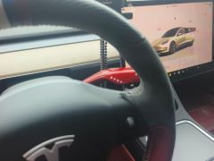 Tesla Model 3 556km Rear-Wheel Drive Edition - photo 19