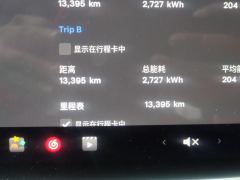 Tesla Model 3 556km Rear-Wheel Drive Edition - photo 15