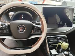 BYD Tang DM-i Champion Edition 1.5T 112km Precursor Premium 7-seater - photo 16