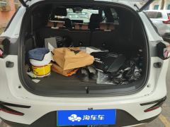 BYD Tang DM-i Champion Edition 1.5T 112km Precursor Premium 7-seater - photo 7