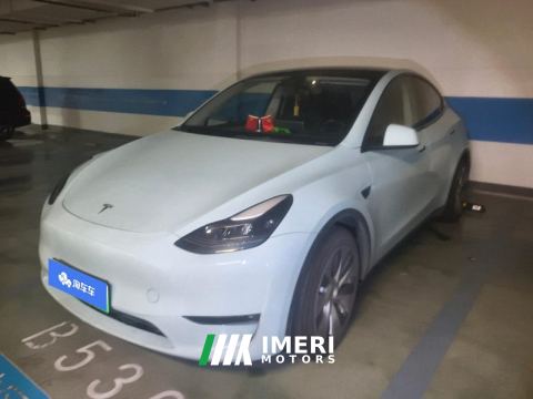 2021 Tesla Model Y Standard endurance rear-wheel drive - ავტომობილი ჩინეთიდან