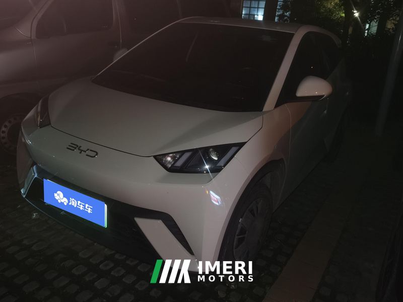 BYD Seagull 305km Vitality Edition - ავტომობილი ჩინეთიდან