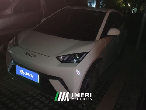 2025 BYD Seagull 305km Vitality Edition - car from China