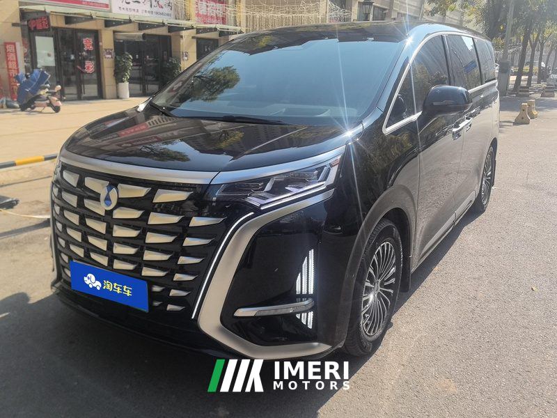 Denza D9 DM