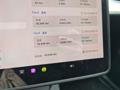 Tesla Model Y Facelift 545km Rear-Wheel Drive Edition - ფოტო 20