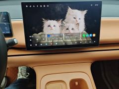 Leapmotor Leapo C16 Extended Range 200 Deluxe Edition - ფოტო 13