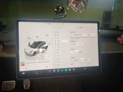 Tesla Model 3 Rear-Wheel Drive - photo 20