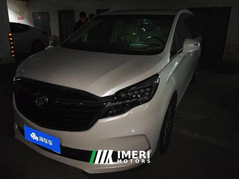 2022 Buick GL8 ES Luxury Edition 653T Comfort Edition 7-seater - car from China