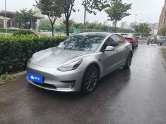 Tesla Model 3 556km Rear-Wheel Drive Edition - ფოტო 1