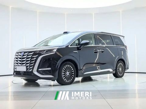 2024 Denza D9 DM-i 1.5T 200km Exclusive Frontrunner 7-seater - car from China
