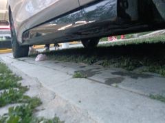 BYD Seal EV 700km RWD Long Range Edition - photo 10