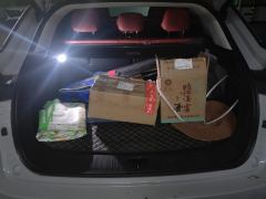 Exeed Yaoguang 400T 2WD Edition - photo 7