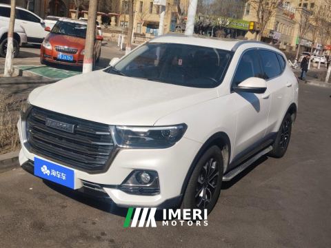 2021 Haval H6 Guochao Edition 1.5T 2WD Urban Edition - ავტომობილი ჩინეთიდან