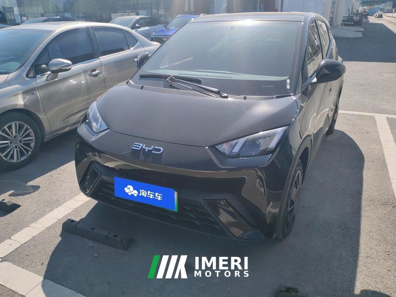 BYD Seagull 305km Vitality Edition - ავტომობილი ჩინეთიდან