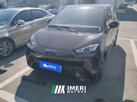 2023 BYD Seagull 305km Vitality Edition - car from China
