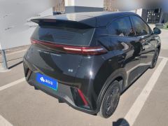 BYD Seagull 305km Vitality Edition - ფოტო 2