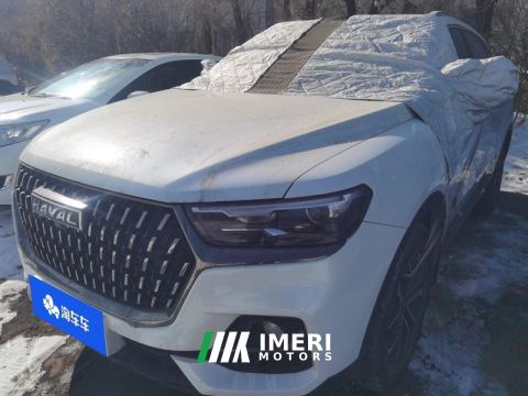 2023 Haval H6 Guochao Edition 1.5T 2WD Urban Edition - ავტომობილი ჩინეთიდან