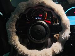 BMW MINI 1.5T ONE - photo 18