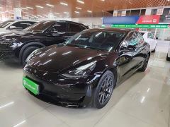 Tesla Model 3 Rear-Wheel Drive - фото 1