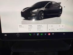 Tesla Model 3 Rear-Wheel Drive - фото 11